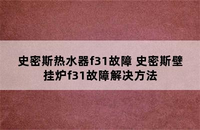 史密斯热水器f31故障 史密斯壁挂炉f31故障解决方法